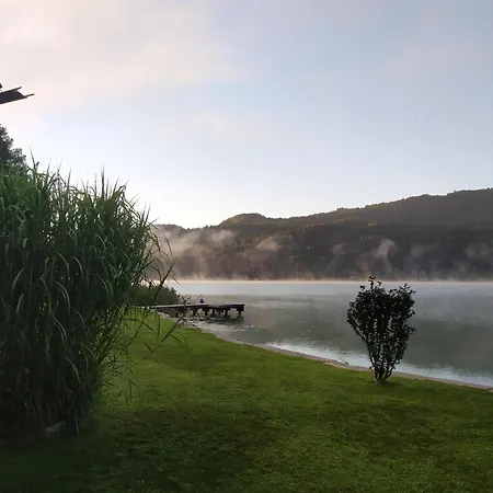 Karintia Gyoengye شيفلينغ آم سي